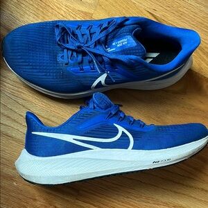 Nike Air Zoom Pegasus 39